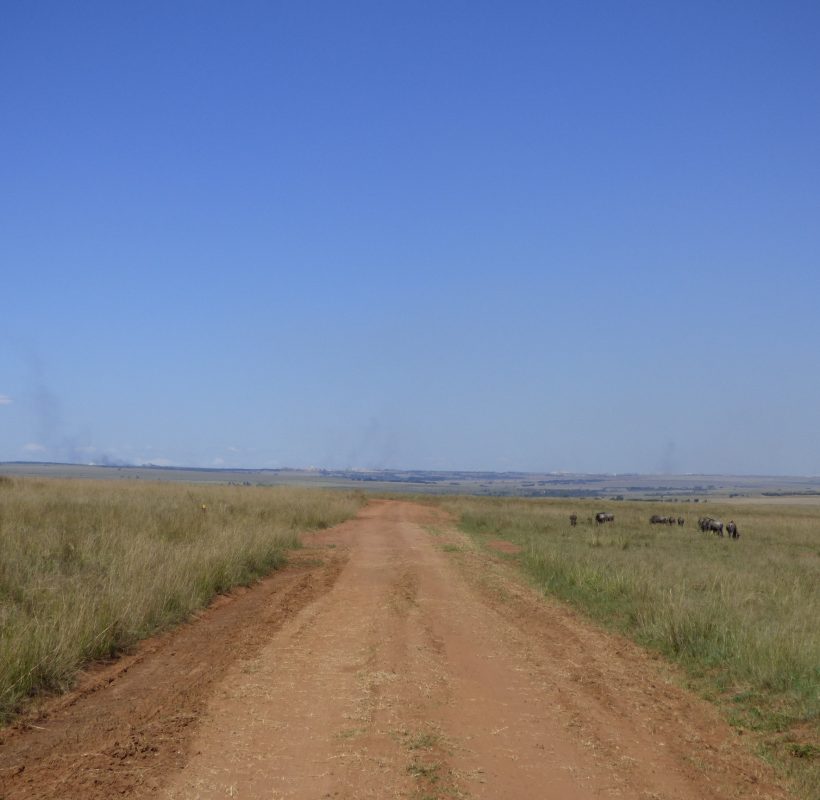 P1000475