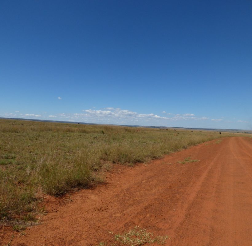 P1000479
